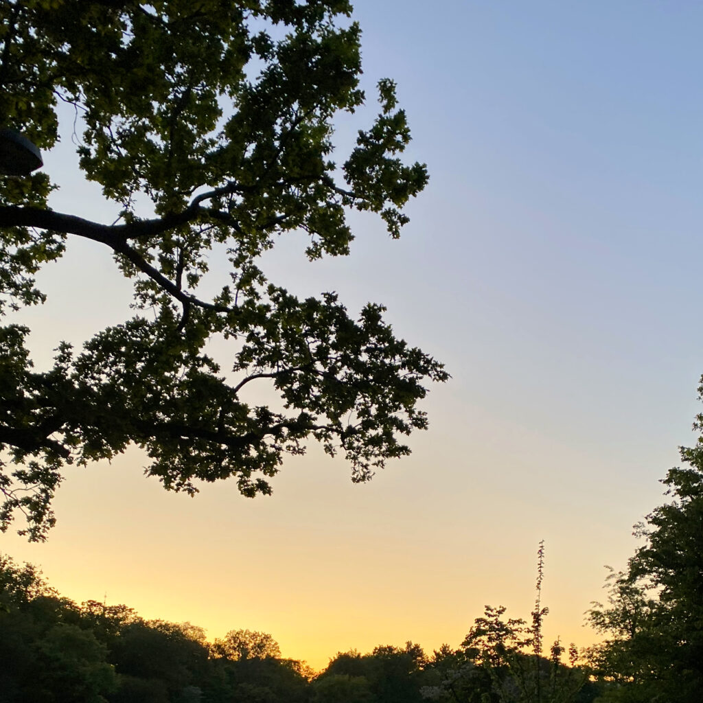 sunset Hasenheide Neukölln
